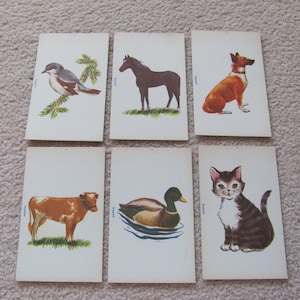 Carte flash vintage espagnole photo phonétique - cheval - vache - oiseau - canard - chien - chat - votre choix !!