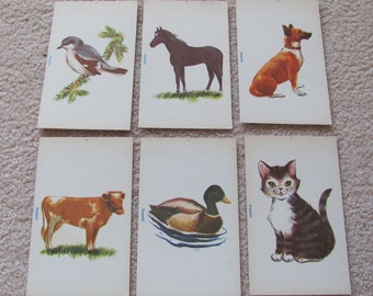 Flashcard di fonetica illustrata con immagini spagnole d'epoca. Classe di metà secolo: cavallo, mucca, uccello, anatra, cane, gatto. A tua scelta!!