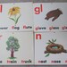 see more listings in the Flash Cards section