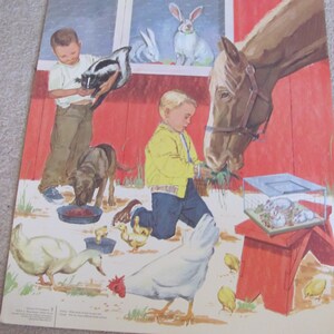 Boerderijdieren - vintage geïllustreerde klaslokaal schoolposter 11 x 14" wetenschap dieren boerderij illustratie kippen eenden