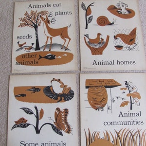 Afiche vintage ilustrado con tarjetas didácticas grandes, póster científico, 11" x 14", animales a elegir: cuadro de conceptos primarios