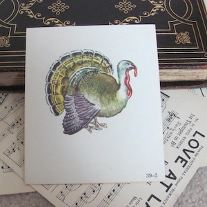 Cartão escolar ilustrado vintage - Fonética, circa 1966, frente e verso - Turquia e topo - Muitos outros para escolher *envio com frete grátis*