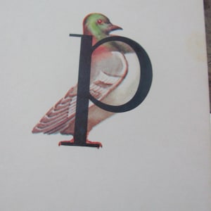 Conjunto de 2 tarjetas ilustradas vintage para la escuela - Fonética circa 1966 - Más opciones para elegir * envío gratuito con tarifa de letra * P Pigeon