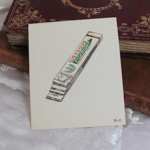 Tarjeta ilustrada vintage para la escuela - Fonética de 1966 (2 caras) - Gum Garden - Hay muchas más para elegir en mi tienda