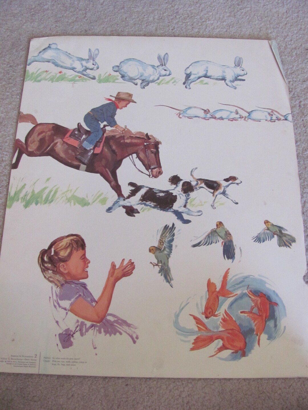 Pet Movements Large Vintage Illustrated Classroom School Poster -- 11 ...