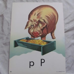 Tarjeta de memoria de cerdo, grande, vintage, colorida, escolar, alfabeto, fonética, ilustrada, original, Lippincott, circa 1950. Hay más opciones para elegir en mi tienda.