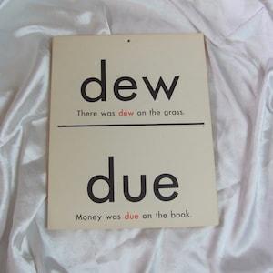 Vintage Homonym Words School Classroom Educational Flash Card  2 Sided 11&quot; x 14&quot; // There Their Due Dew // Many more to choose from