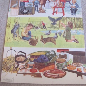 Poster grote vintage geïllustreerde klaslokaal schoolposter 2-zijdig -- 20 x 25" Science Animals Farm