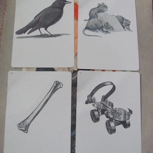 Tarjeta ilustrada para la escuela (tu elección) - Fonética vintage de mediados de siglo, circa 1966 // Muchas más en mi tienda // patín, hueso, ratones, cuervo