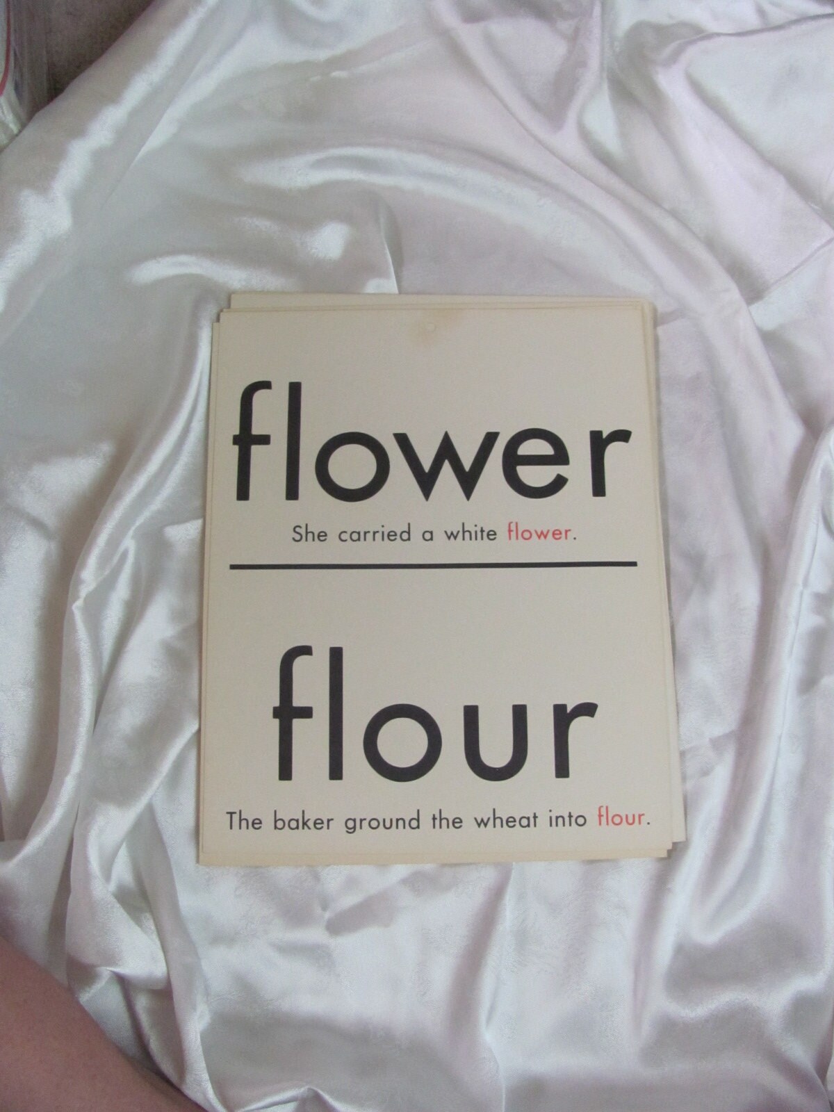 Vintage Homonym Words School Classroom Educational Flash Card 2 Sided