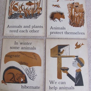 Póster vintage ilustrado de ciencia con tarjetas didácticas grandes (28 x 35 cm). Animales a elegir: gráfico de conceptos primarios.