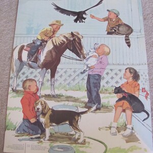 Poster grote vintage geïllustreerde klaslokaal schoolposter 2-zijdig -- 20 x 25" wetenschap dieren huisdieren