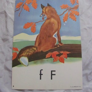 Tarjeta didáctica de Fox, grande, colorida, vintage, alfabeto escolar, fonética, original, Lippincott, circa 1950. Hay más opciones para elegir en mi tienda