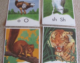 Large Colorful Phonics Alphabet School Flash Card Poster Reproduction Print Circa 1950s - 8" x 11" Your Choice Tiger Sheep Squirrel Ostrich