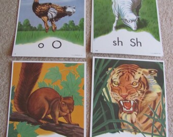 Grande riproduzione di poster con schede didattiche didattiche sull'alfabeto fonico colorato, circa anni '50 - 8" x 11" A tua scelta: tigre, pecora, scoiattolo, struzzo