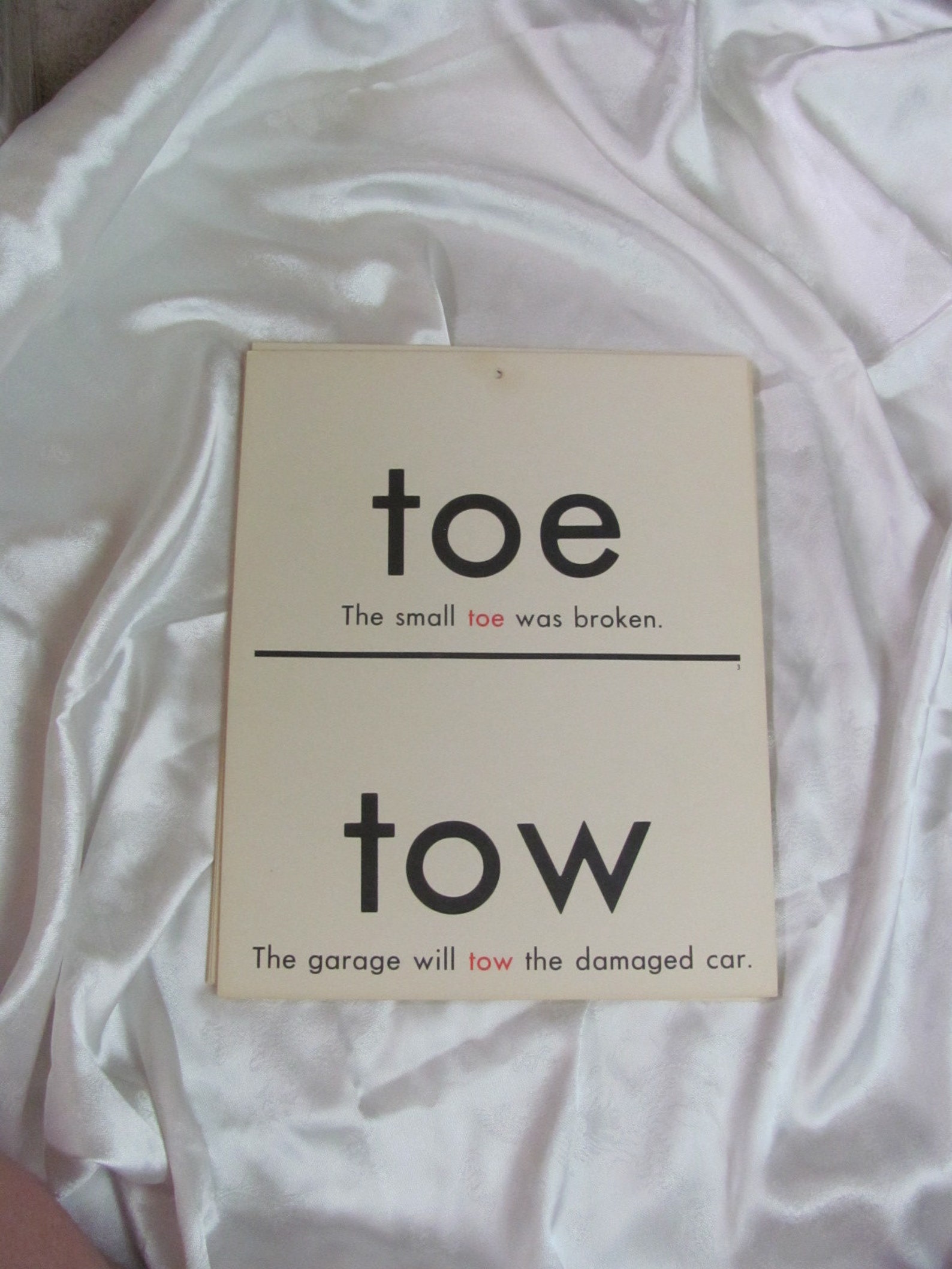 Vintage Homonym Words School Classroom Educational Flash Card 2 Sided