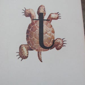 Set van 2 vintage geïllustreerde schoolflitskaarten - fonetiek circa 1966 - meer om uit te kiezen * gratis verzending per brief* T Turtle
