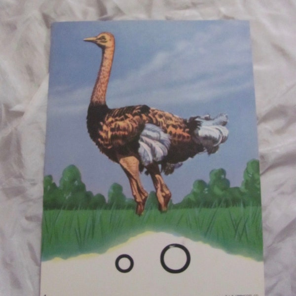 Ostrich Flash Card Vintage Large Colorful School Alphabet Phonics Illustrated Original Lippincott 1950s - More to choose from in my shop