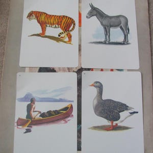 Geïllustreerde schoolflitskaart - jouw keuze - fonetiek circa 1966 vintage halverwege de eeuw // veel meer in mijn winkel //gans kano ezel tijger