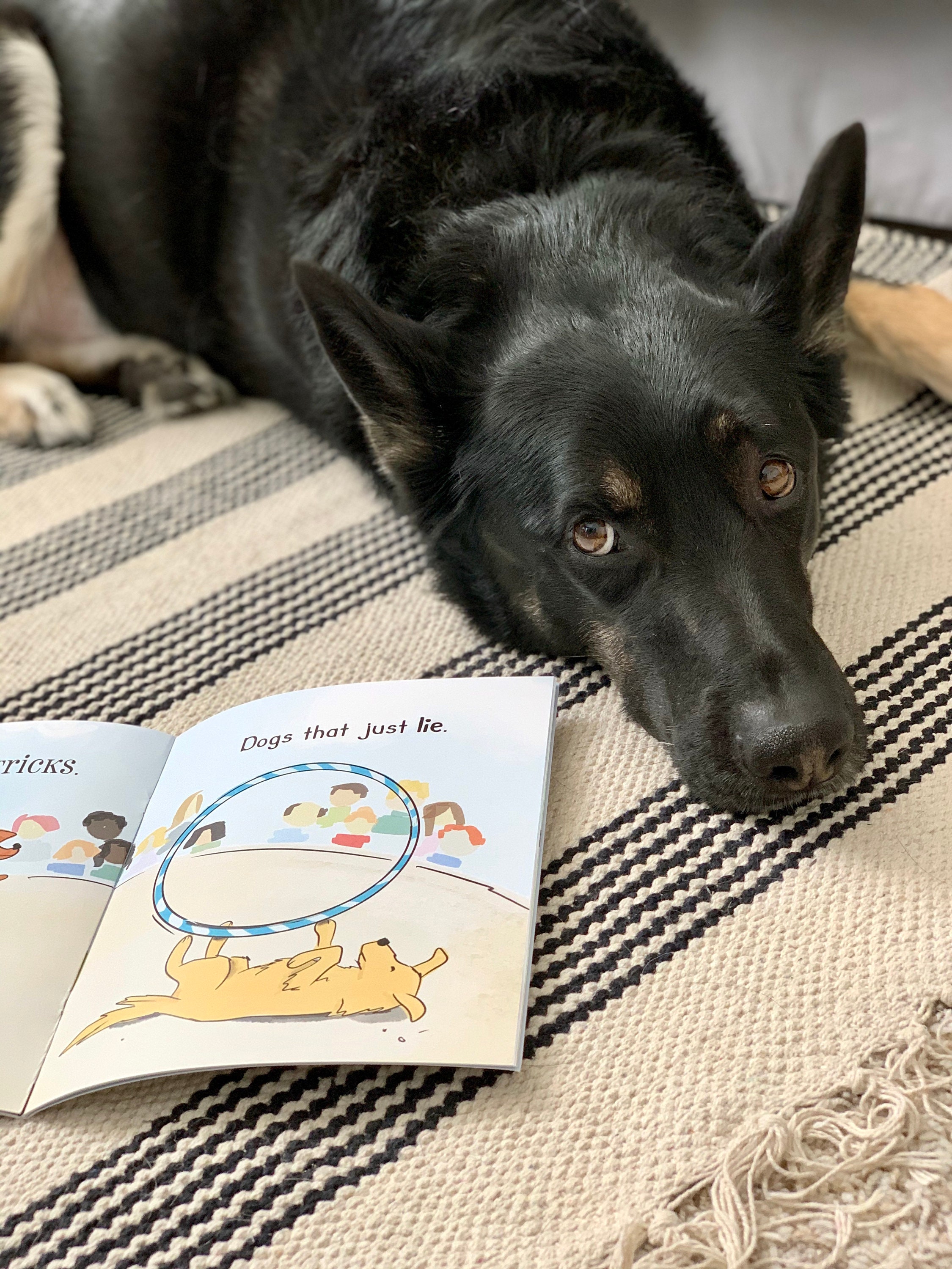 I Love Dogs Childrens Book Kids book Dog book Beginner | Etsy