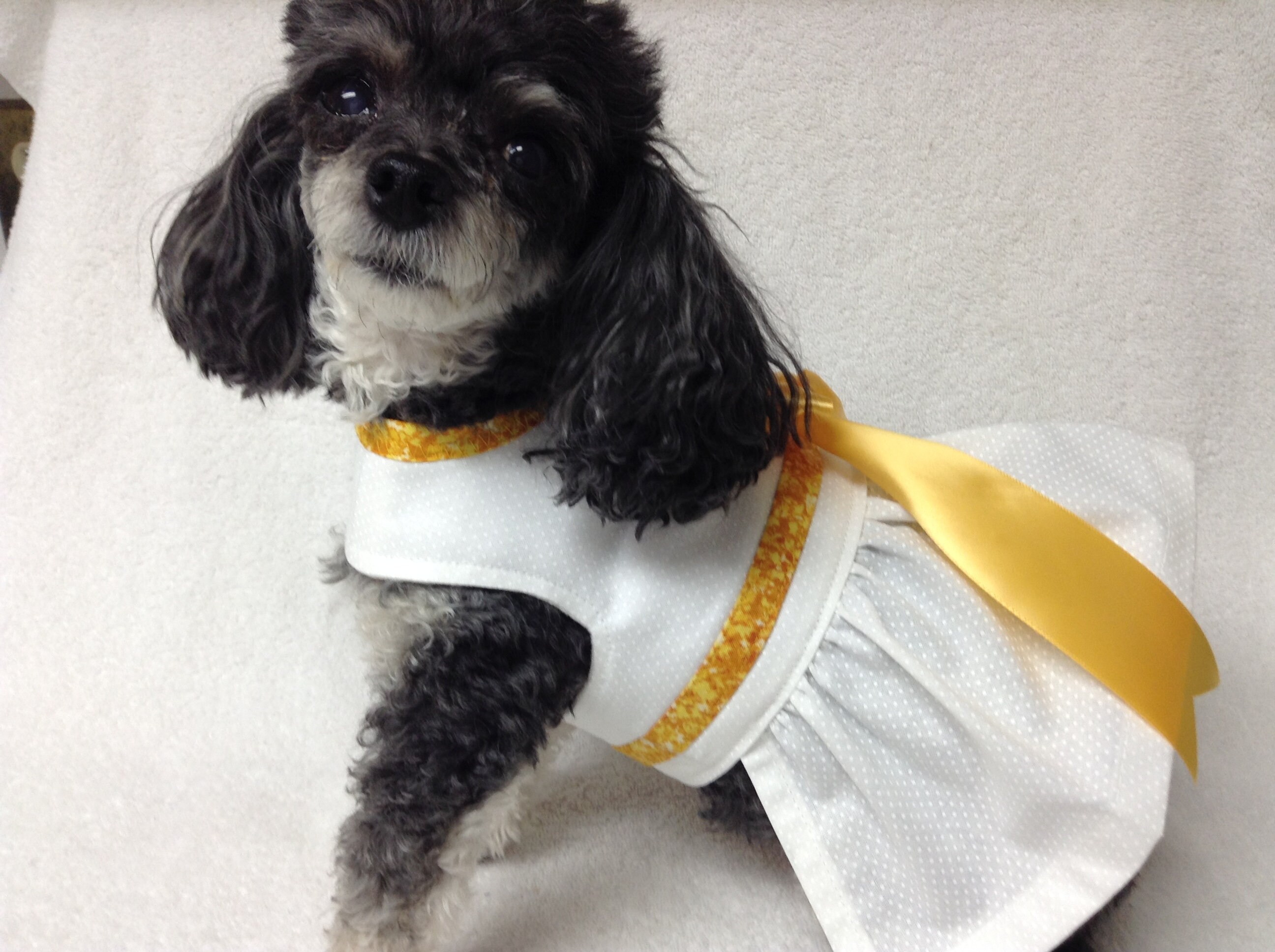 Dog Wedding Bridesmaid Flower Girl Dress For Puppy White Etsy