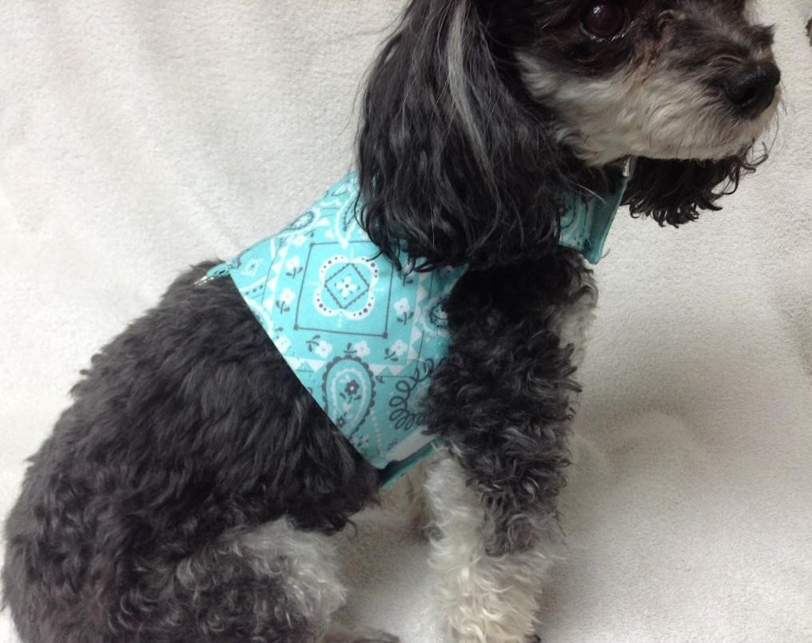 Réversible Girl Dog Harness Fabric Puppy Vest And Optional Etsy