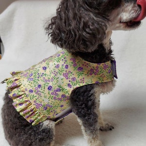 Girl Dog Harness Vest Reversible Puppy Dress Female Small Fabric Mini Ruffle Skirt Custom Sizes From XSmall - Medium Pretty Floral Victorian