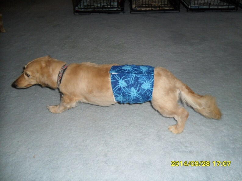 Male Doggie Belly Band Pet Diaper Wrap Puppy Boy Britches Etsy