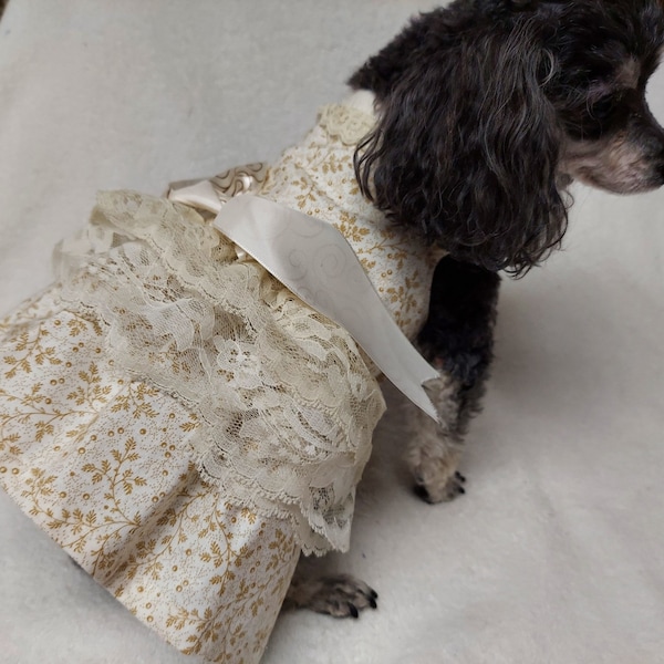 Dog Bridesmaid Dress Etsy