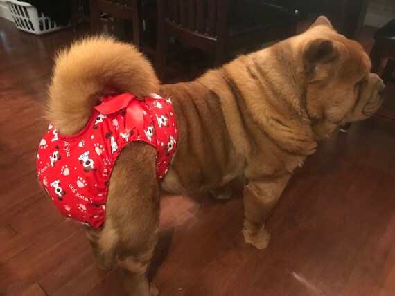plus size dog costume