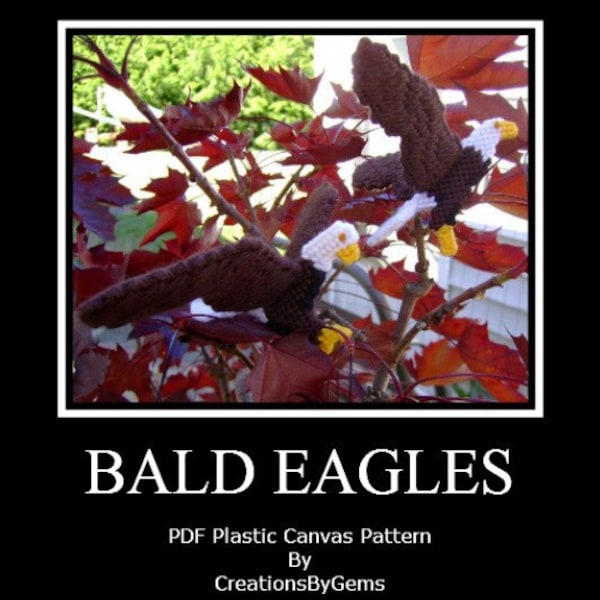 Bald Eagle Plastic Canvas PDF Pattern