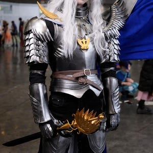 180 days to make - "人は自ら選んだ道を歩くしかない" Custom Griffith Armor Cosplay Full Set, Berserk Hawk of Light Costume
