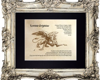 Gryphon Griffin Winged Lion Charcoal Style Drawing Mythological Animals Fine Art Print Reproduction