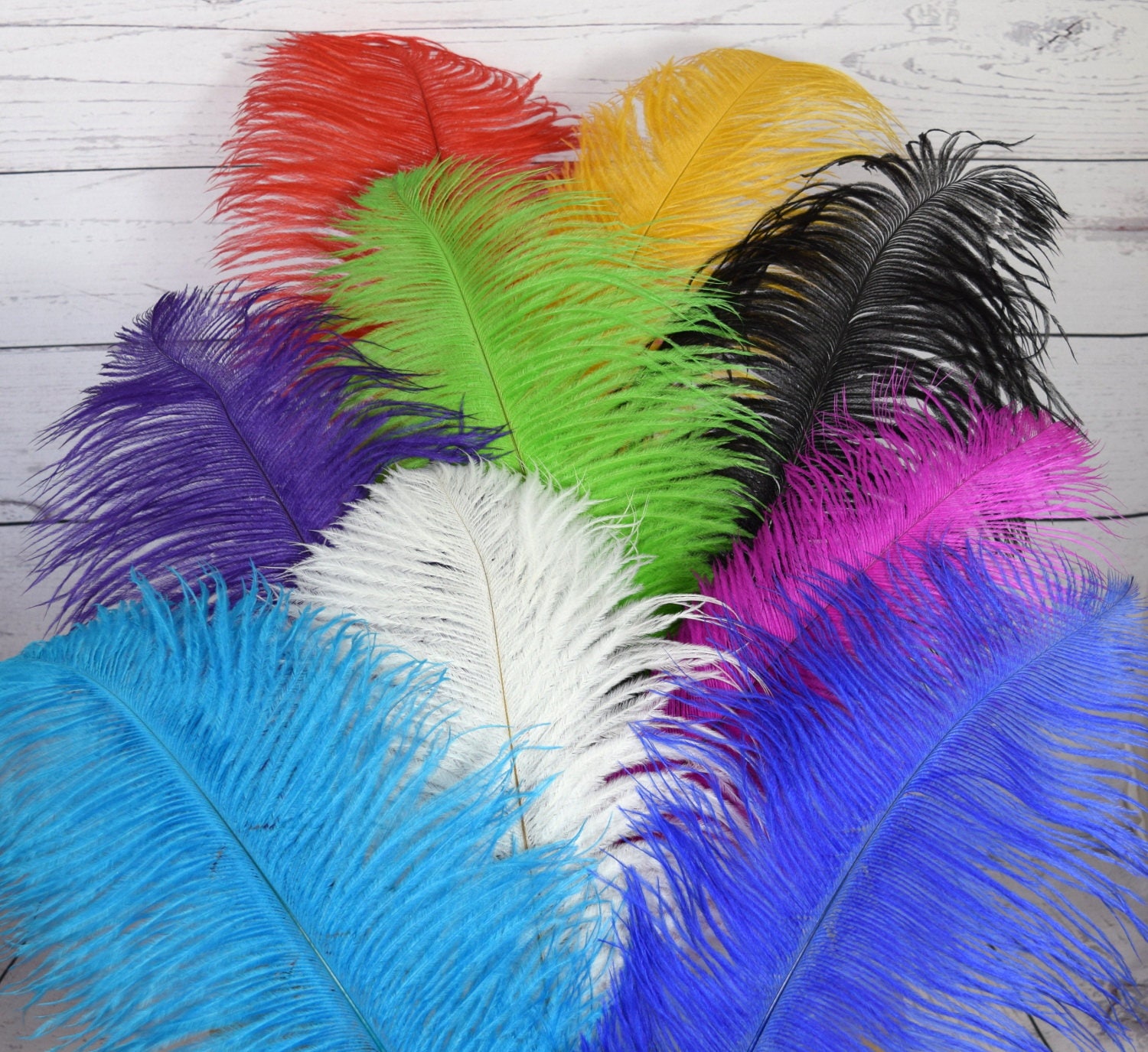 Pink Ostrich Feather Quill Pen – Objets d'Art & Spirit
