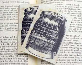 Vintage boekenlegger voor apothekers: set van 24 zelfklevende ex-libris boekbordstickers