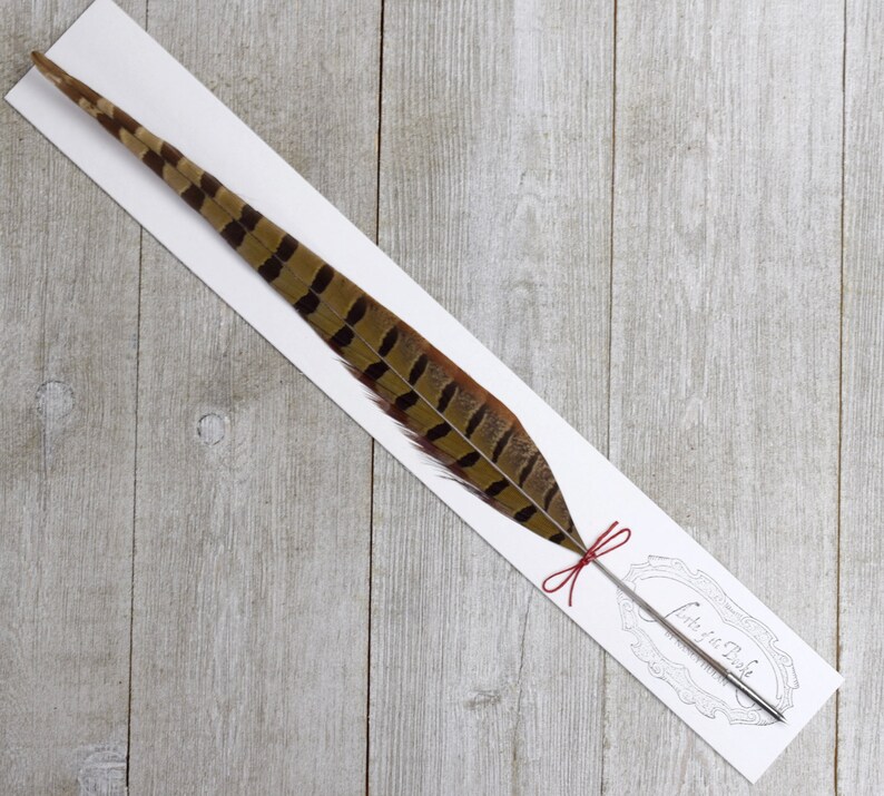 Pheasant Feather Quill Pen With Pointed Steel Nib Calligraphy Etsy