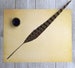 Pheasant Feather Quill Pen with Pointed Steel Nib, Calligraphy Dip Pen 