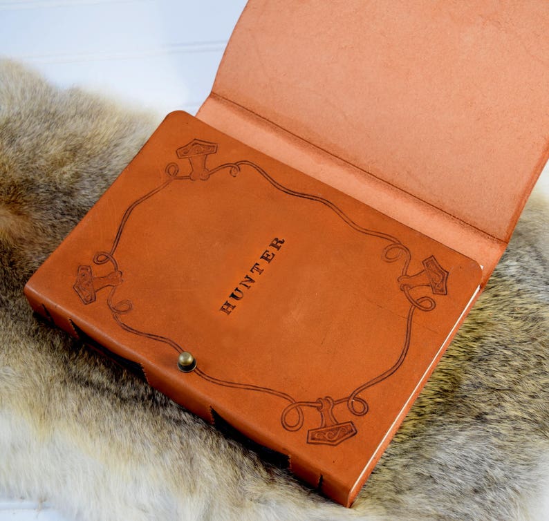 Viking negotiation analysis picture