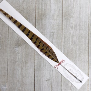 Fasan Federfeder mit spitzer Stahlfeder, Kalligraphie-Schreibstift