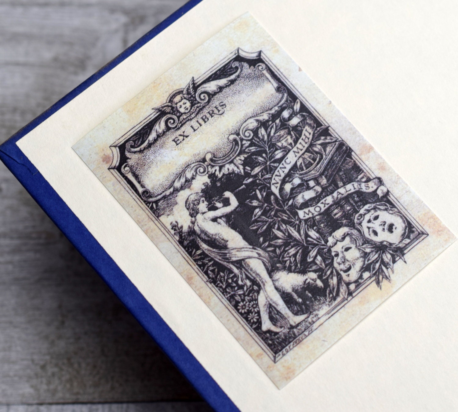 Theatre Bookplate: Set of 24 Self-adhesive Ex Libris Book Plate ...