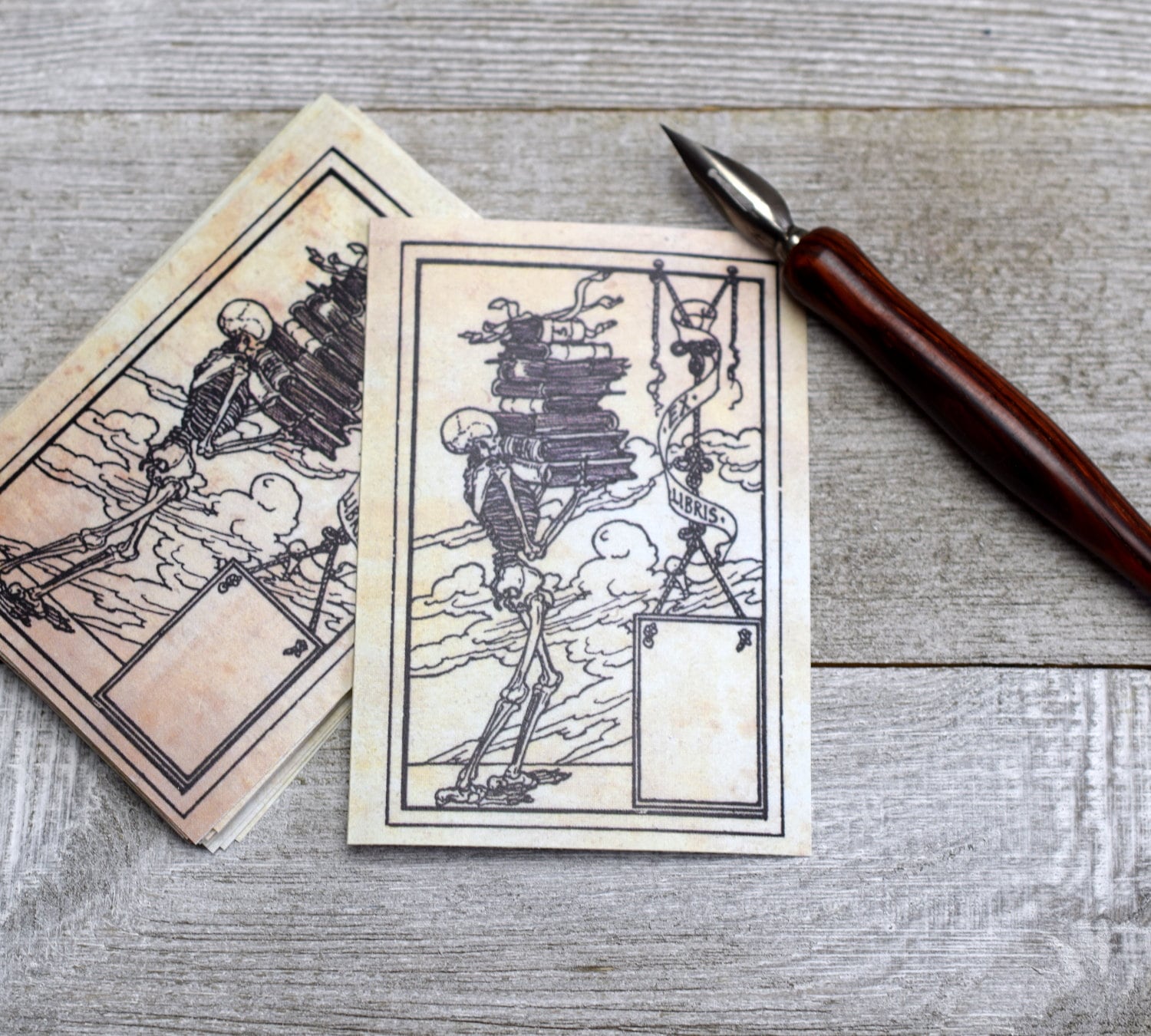 Skelett Exlibris Satz von 24 selbstklebende Ex Libris Buch Etsy