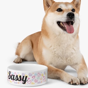 Cuenco para mascotas, plato de comida para perros con nombre, idea de regalo para amantes de las mascotas, cuenco de alimentación, diseño personalizado, accesorio para mascotas, cuenco de agua de cerámica para microondas