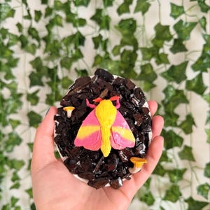 Handmade Rosy Maple Moth wall hanging