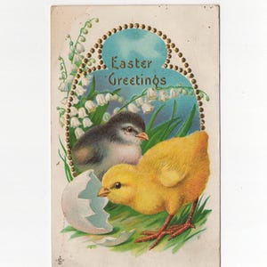 Ilustração original de cartão postal vintage 2 pintinhos de Páscoa 1912