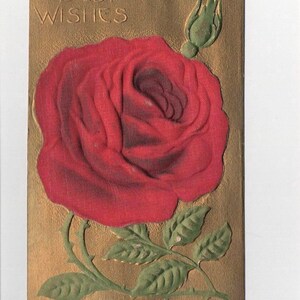 Postal antigua de tela con relieve de rosa, fondo dorado, 1909