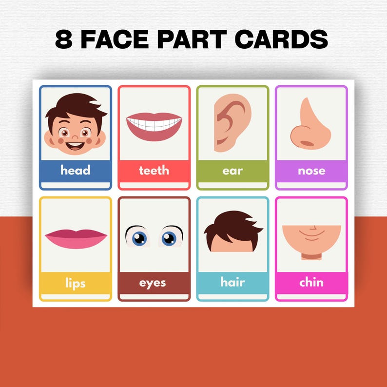 Body Parts Flashcards for Kids | Printable Anatomy Learning Cards ...