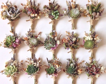 Succulent Boutonnieres // Flower Fields, Assorted