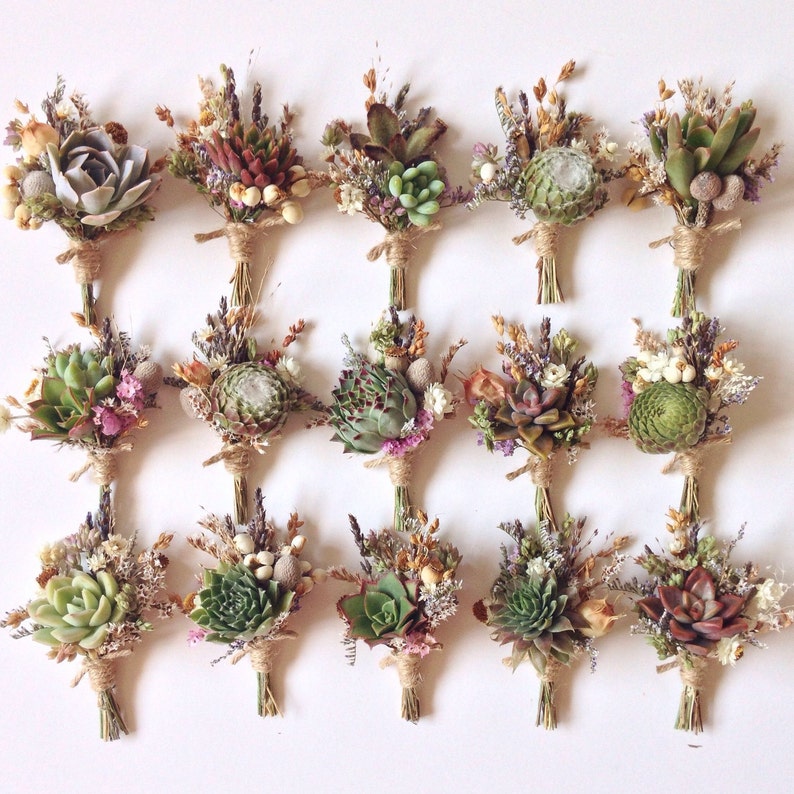 Succulent Boutonnieres // Flower Fields, Assorted 