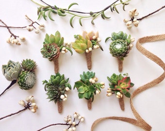 8 Assorted Double Succulent Boutonnieres with Tallow Berry