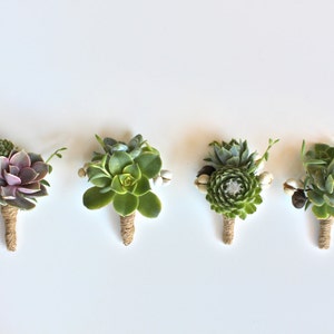 6 Assorted Double Succulent Boutonnieres with Tallow Berry image 2